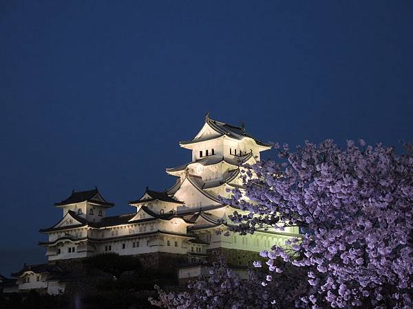DSCN1955 DSCN1955