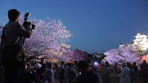 DSCN1962 DSCN1962