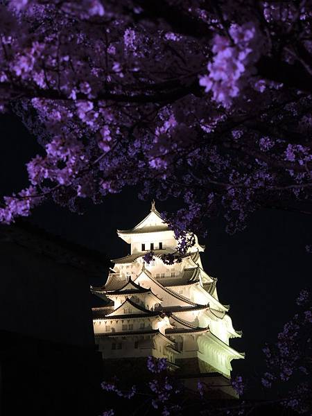 DSCN1985 DSCN1985