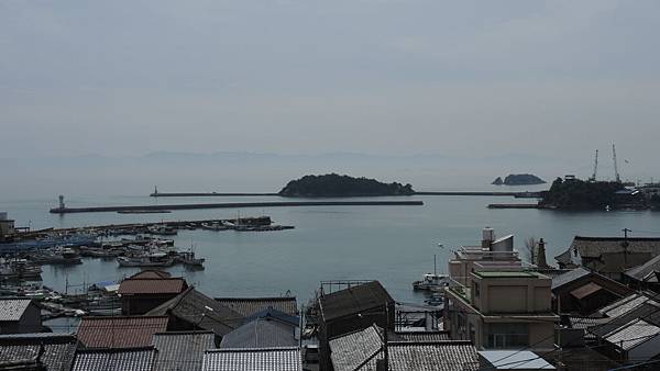 DSCN2110 DSCN2110