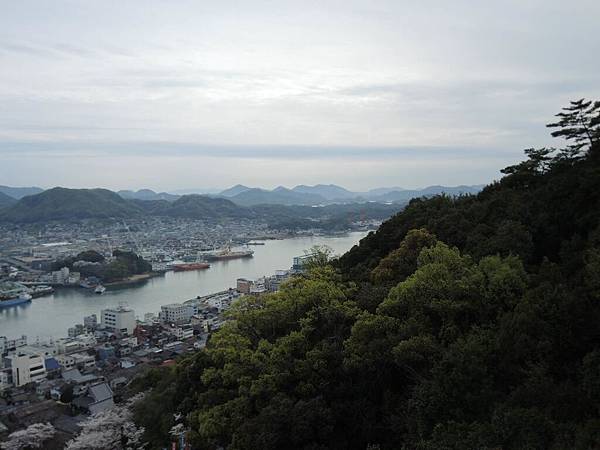 DSCN2154 DSCN2154