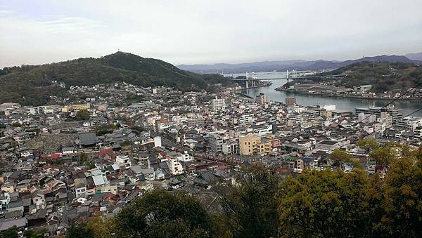 IMAG0178 IMAG0178
