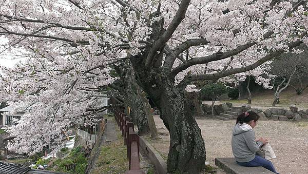 IMAG0205 IMAG0205