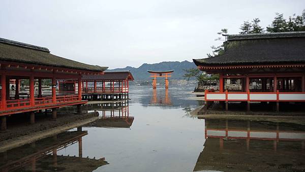 DSCN2294 DSCN2294