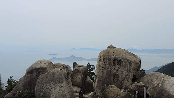DSCN2384 DSCN2384