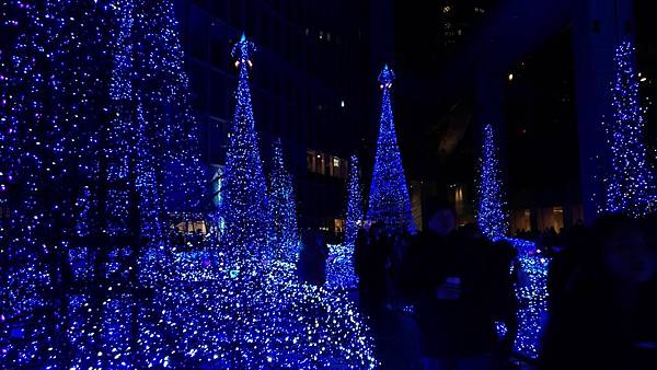 P_20161210_185646 P_20161210_185646