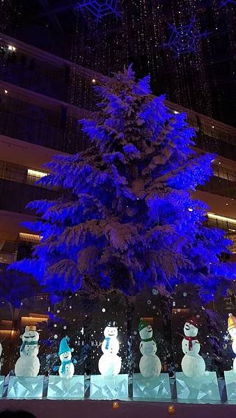 P_20161210_194136_LL P_20161210_194136_LL