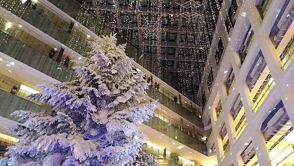 P_20161210_194525_LL P_20161210_194525_LL