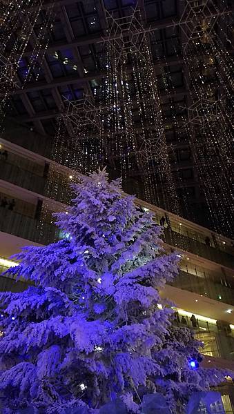 P_20161210_194438_LL P_20161210_194438_LL