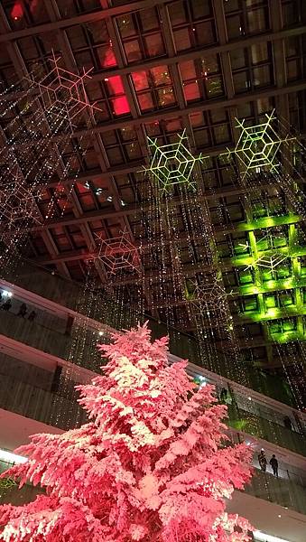 P_20161210_194349_LL P_20161210_194349_LL