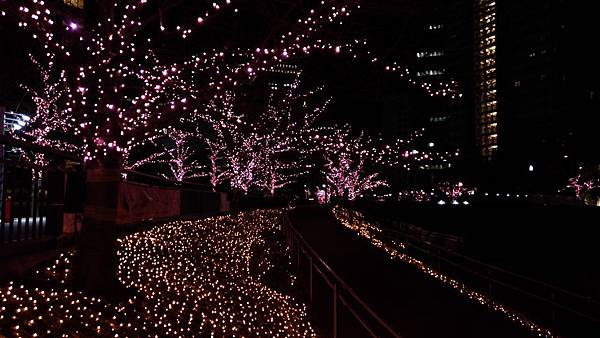 P_20161210_204501 P_20161210_204501