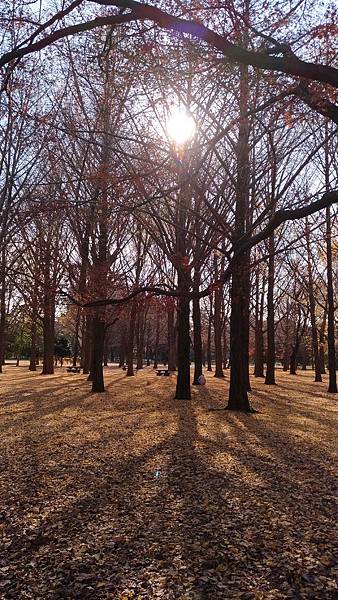 P_20161212_130417_vHDR_On P_20161212_130417_vHDR_On