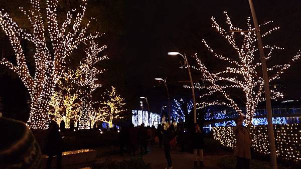 P_20161212_180312_vHDR_On P_20161212_180312_vHDR_On