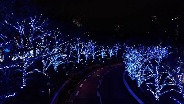 P_20161212_180443_vHDR_On P_20161212_180443_vHDR_On