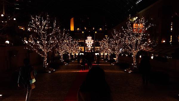 P_20161212_194545_vHDR_On P_20161212_194545_vHDR_On