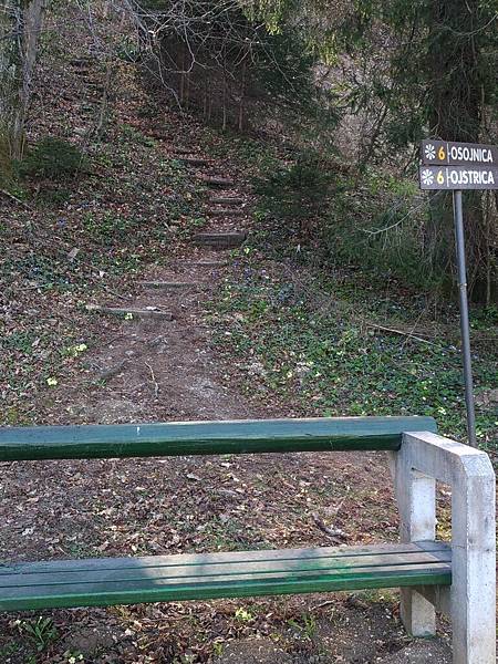 P_20170327_155620_vHDR_Auto1 P_20170327_155620_vHDR_Auto1