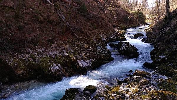 P_20170328_113704 P_20170328_113704