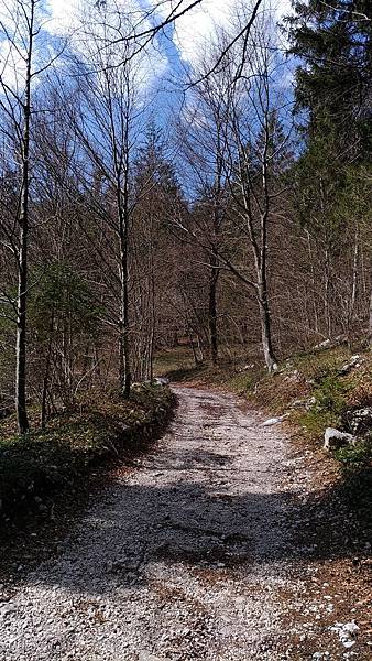 P_20170329_135857_vHDR_Auto P_20170329_135857_vHDR_Auto