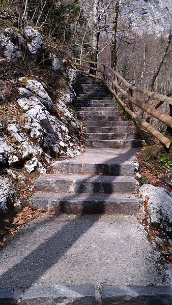 P_20170329_144931_vHDR_Auto P_20170329_144931_vHDR_Auto