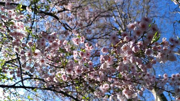 P_20170401_092820_vHDR_Auto P_20170401_092820_vHDR_Auto