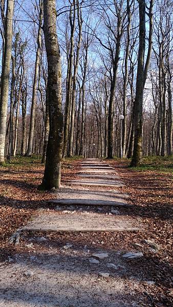 P_20170402_161928_vHDR_Auto P_20170402_161928_vHDR_Auto