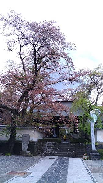 P_20170428_132427_compressed P_20170428_132427_compressed