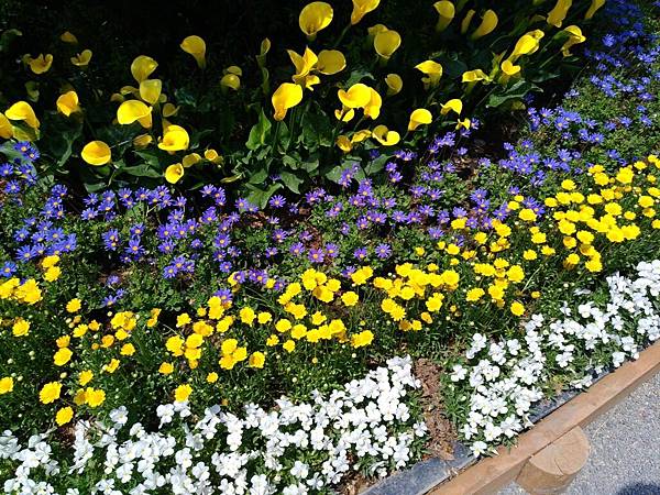 P_20170429_115037_compressed P_20170429_115037_compressed