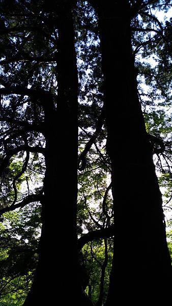 P_20170430_164121_compressed P_20170430_164121_compressed