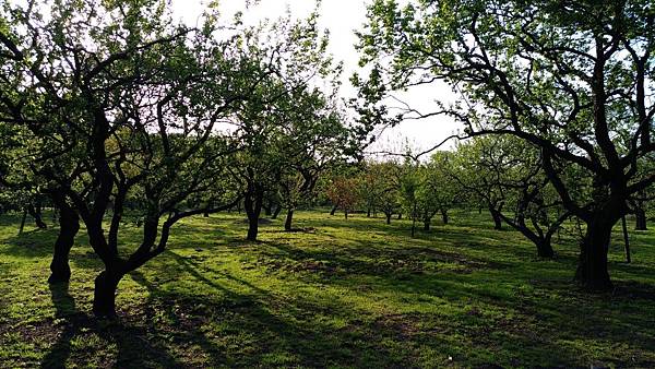 P_20170430_165722_compressed P_20170430_165722_compressed