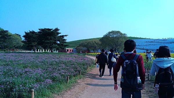 P_20170501_075048_compressed P_20170501_075048_compressed