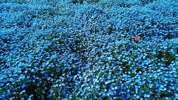 P_20170501_080812_compressed P_20170501_080812_compressed