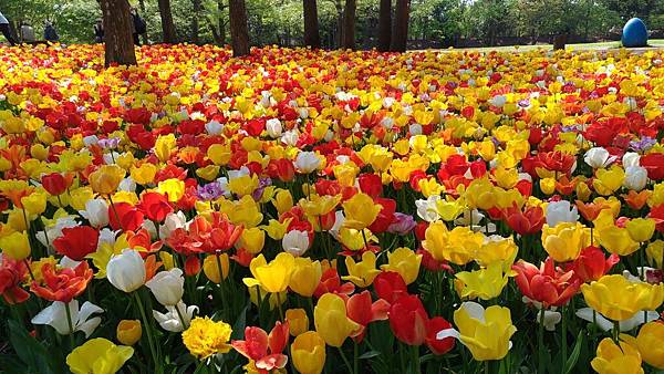 P_20170501_090343_compressed P_20170501_090343_compressed