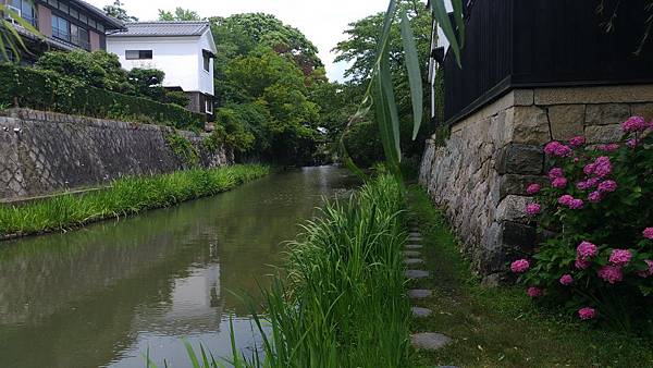 P_20170703_130654 P_20170703_130654