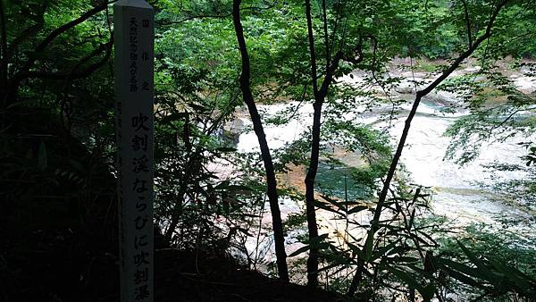 P_20170724_144742_compressed P_20170724_144742_compressed