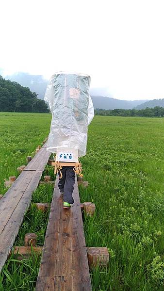 P_20170725_122523_compressed P_20170725_122523_compressed