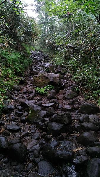 P_20170726_080927_vHDR_On_compressed P_20170726_080927_vHDR_On_compressed