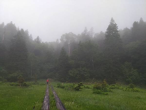 P_20170726_082532_vHDR_On_compressed P_20170726_082532_vHDR_On_compressed