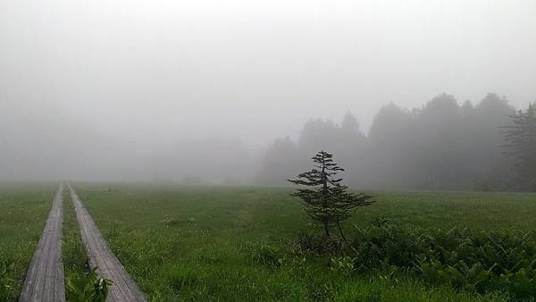 P_20170726_082046_vHDR_On_compressed P_20170726_082046_vHDR_On_compressed