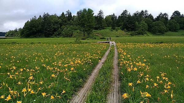 P_20170726_094711_vHDR_Auto_compressed P_20170726_094711_vHDR_Auto_compressed