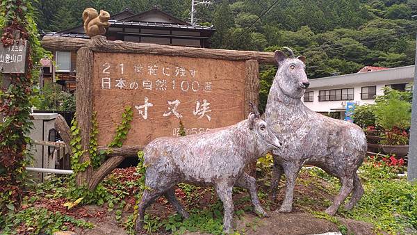P_20170728_112932_vHDR_Auto_compressed P_20170728_112932_vHDR_Auto_compressed