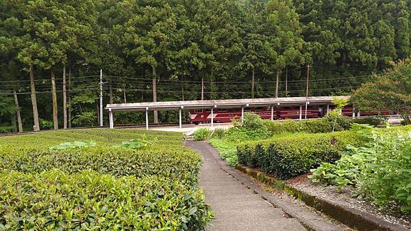 P_20170728_135123_vHDR_Auto_compressed P_20170728_135123_vHDR_Auto_compressed