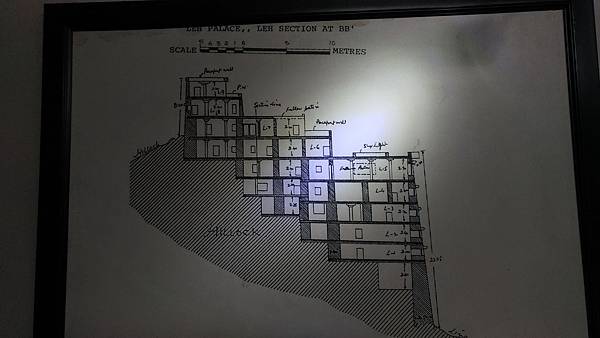 P_20170815_171434_compressed P_20170815_171434_compressed