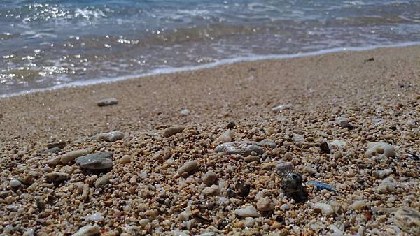 P_20170922_093443_vHDR_Auto_compressed P_20170922_093443_vHDR_Auto_compressed