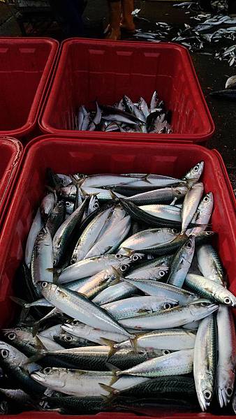 P_20170928_111144_vHDR_Auto_compressed P_20170928_111144_vHDR_Auto_compressed