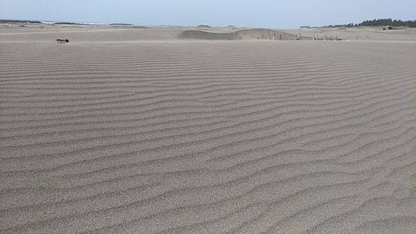 P_20171004_143905_vHDR_Auto_compressed P_20171004_143905_vHDR_Auto_compressed