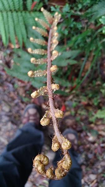 P_20180401_103346_vHDR_On P_20180401_103346_vHDR_On