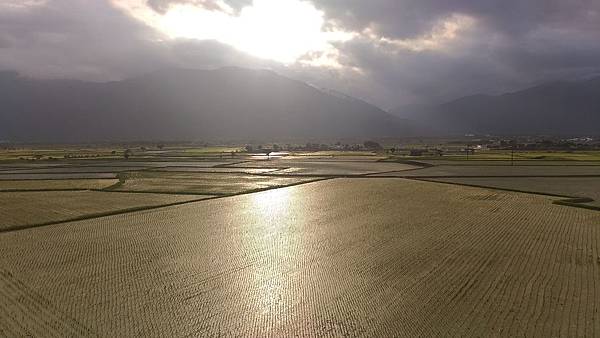 P_20180728_172734_vHDR_On_compressed P_20180728_172734_vHDR_On_compressed