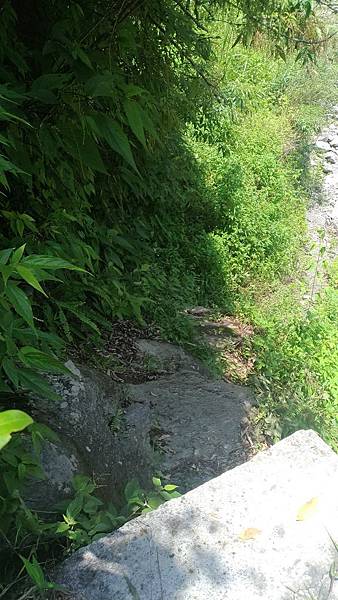 P_20180729_113037_vHDR_On_compressed P_20180729_113037_vHDR_On_compressed