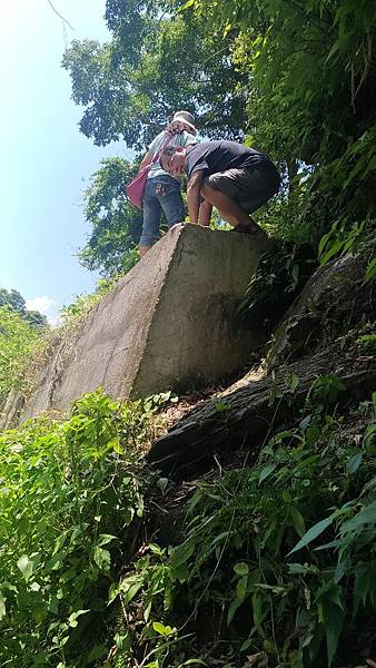 P_20180729_112956_vHDR_On_compressed P_20180729_112956_vHDR_On_compressed