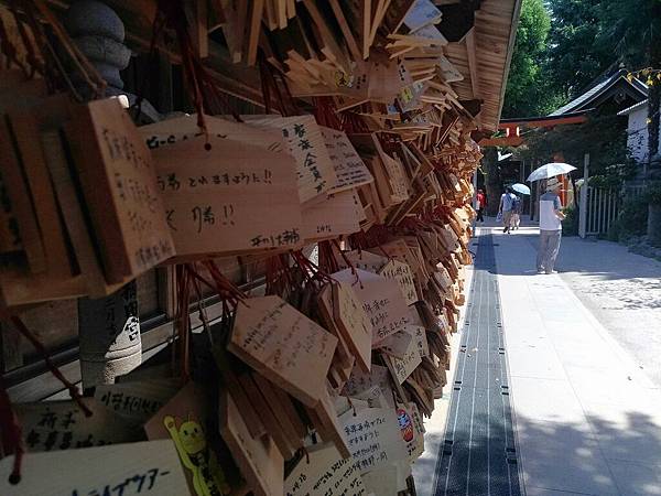 P_20180813_132234_vHDR_Auto_1_compressed P_20180813_132234_vHDR_Auto_1_compressed